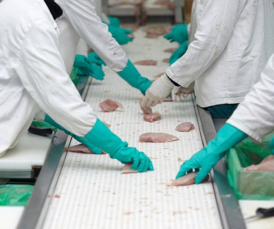 Aplicações do ar comprimido tratado na indústria alimentícia
